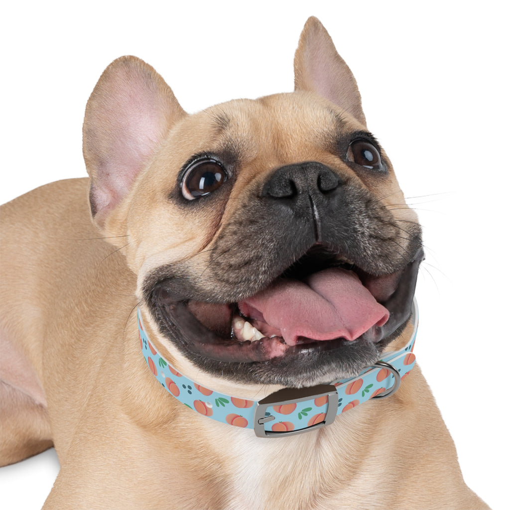 Dog Collar - Feelin Peachy