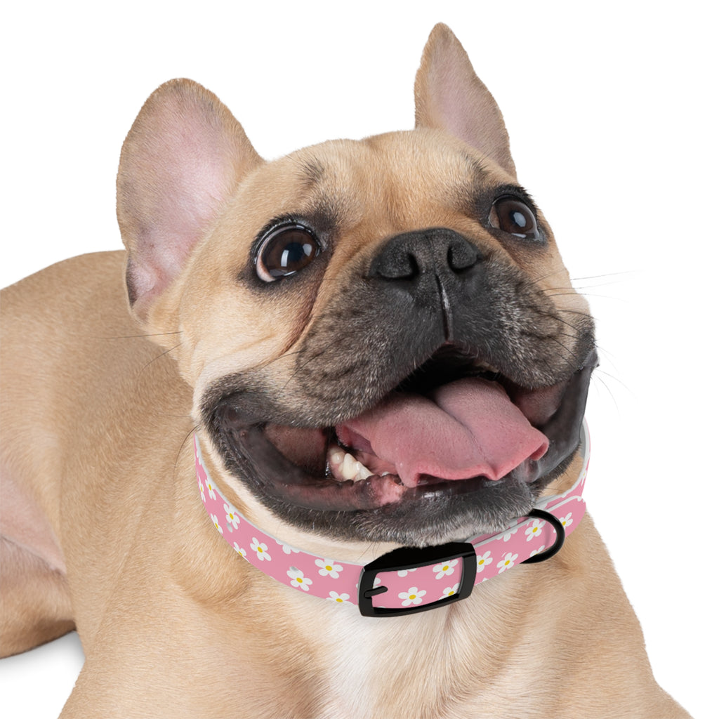 Dog Collar - Daisy Collection