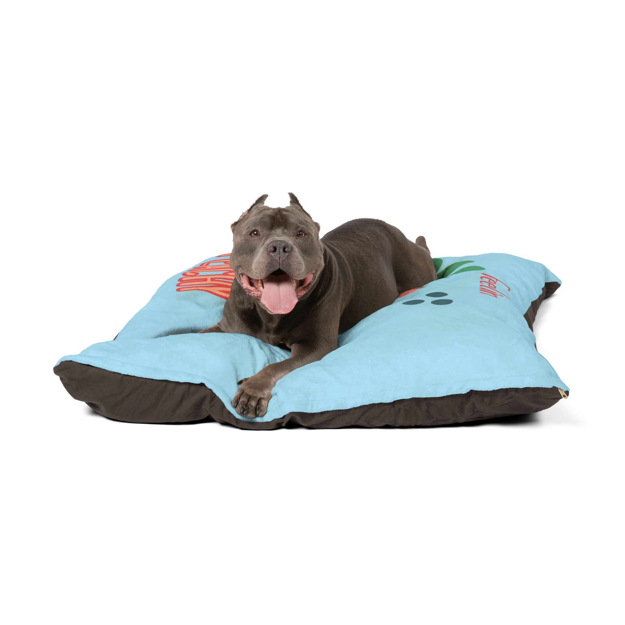 Pet Bed - Feelin Peachy Collection