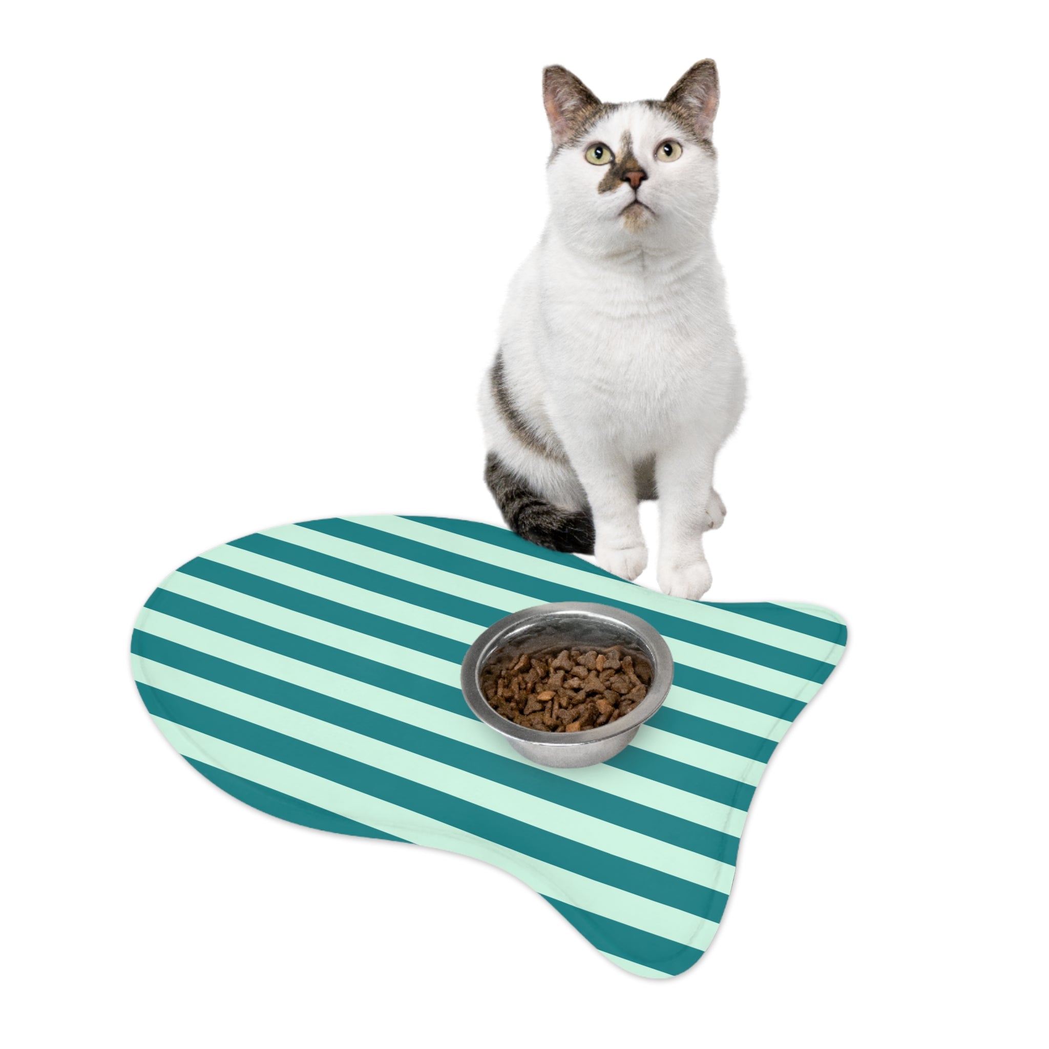 Pet Feeding Mats