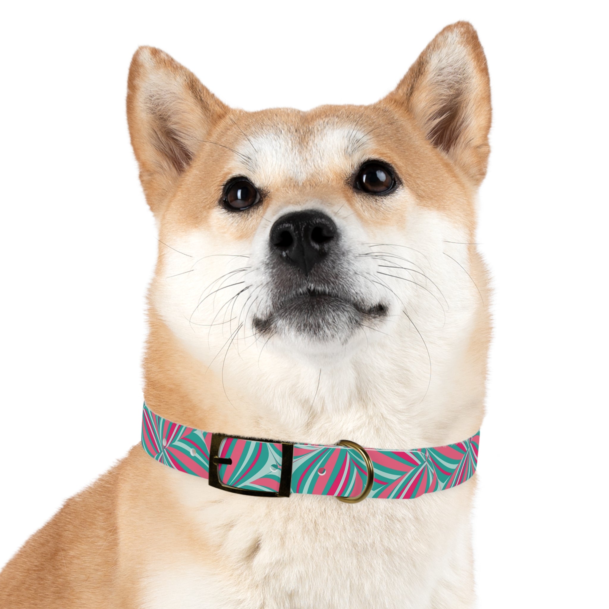 Dog Collar- Whimsy Collection
