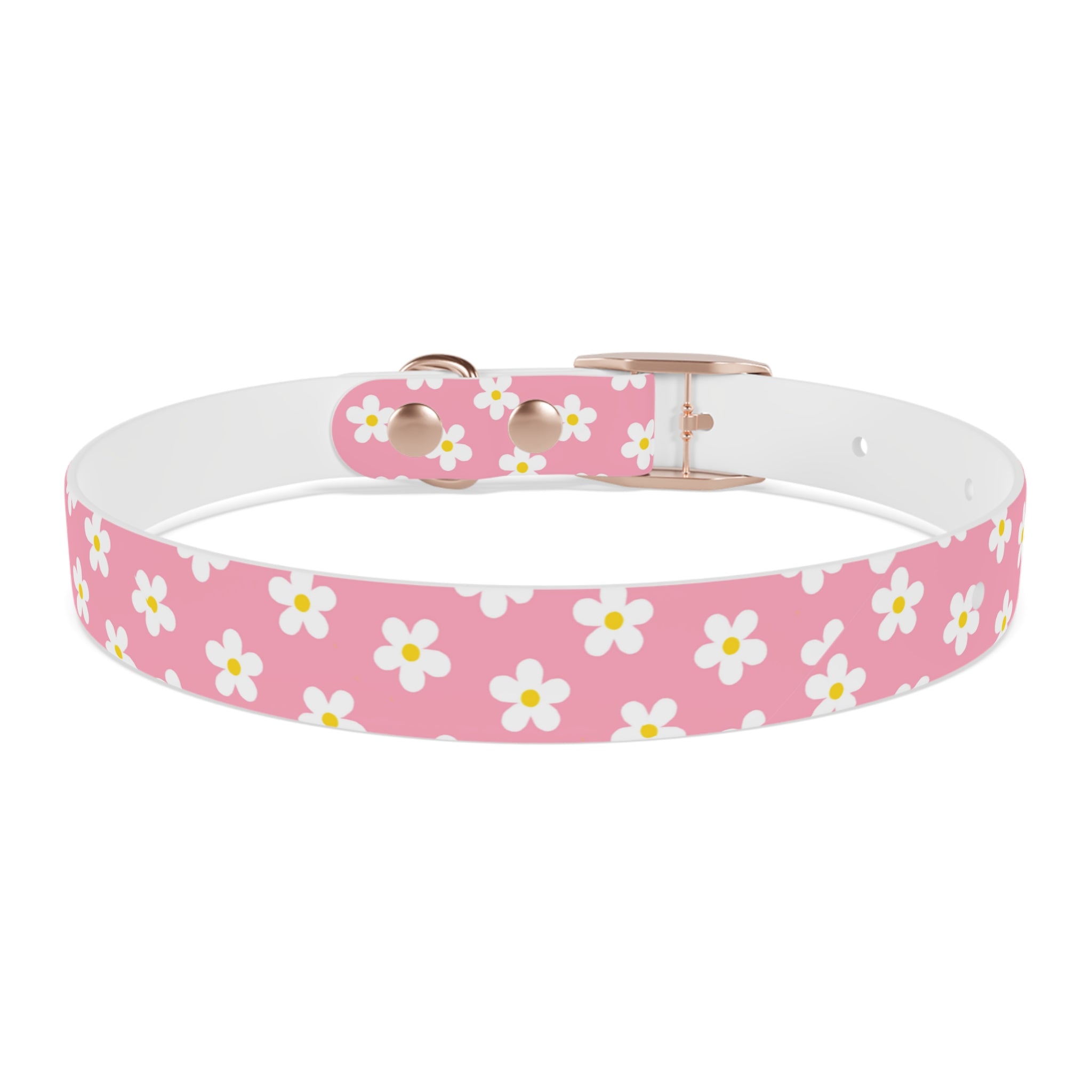 Dog Collar - Daisy Collection