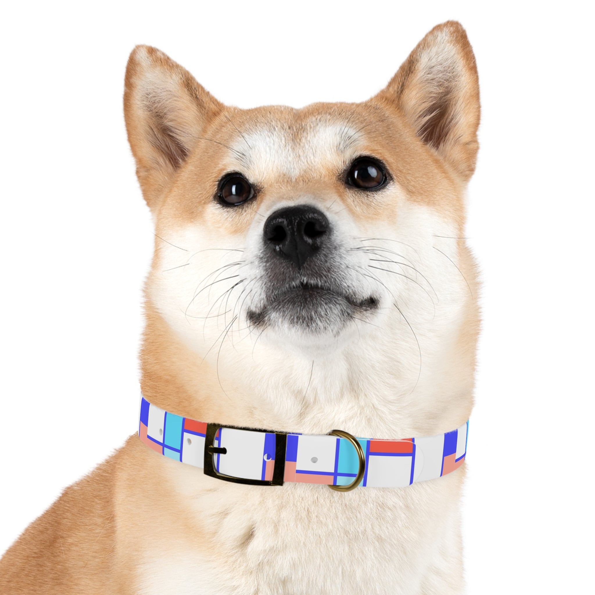 Dog Collar - Mosaic Collection