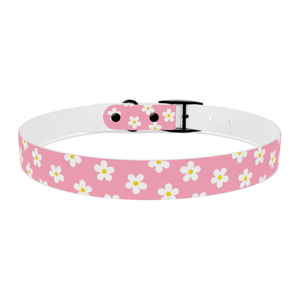 Dog Collar - Daisy Collection