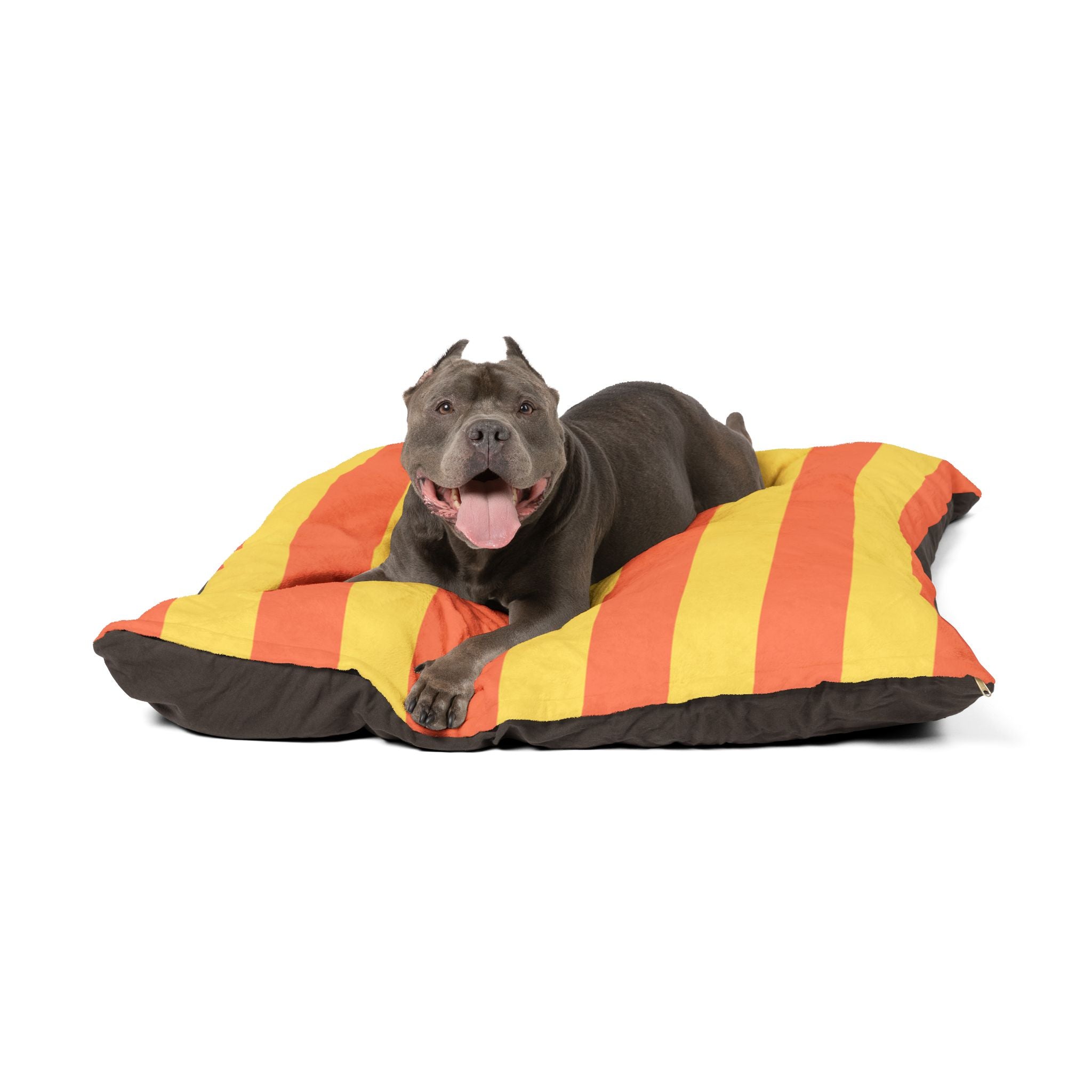 Pet Bed