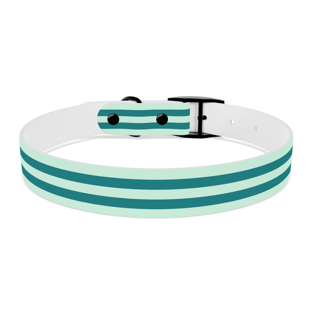 Dog Collar