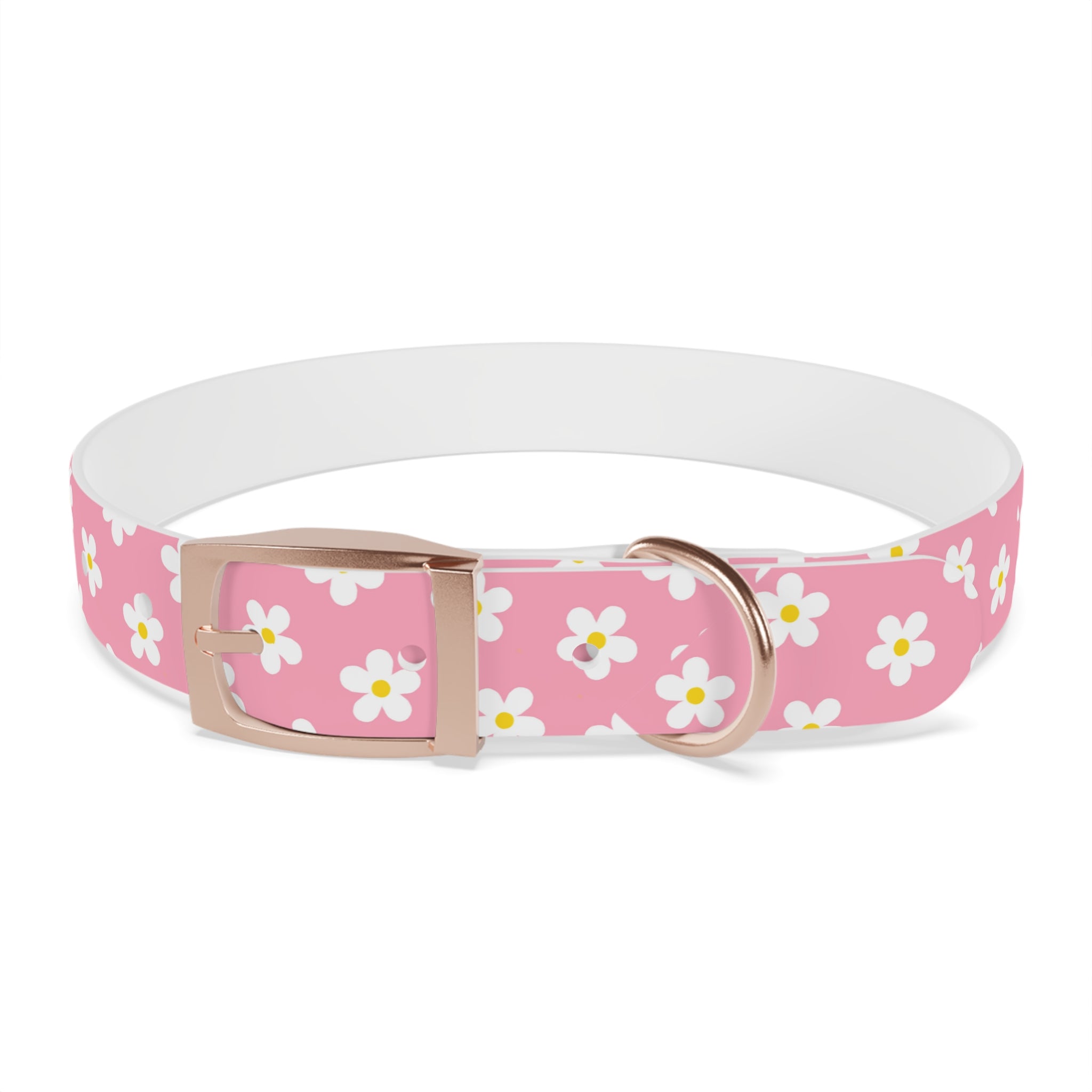 Dog Collar - Daisy Collection