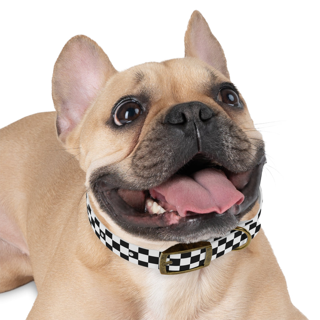 Checkered Dog Collar