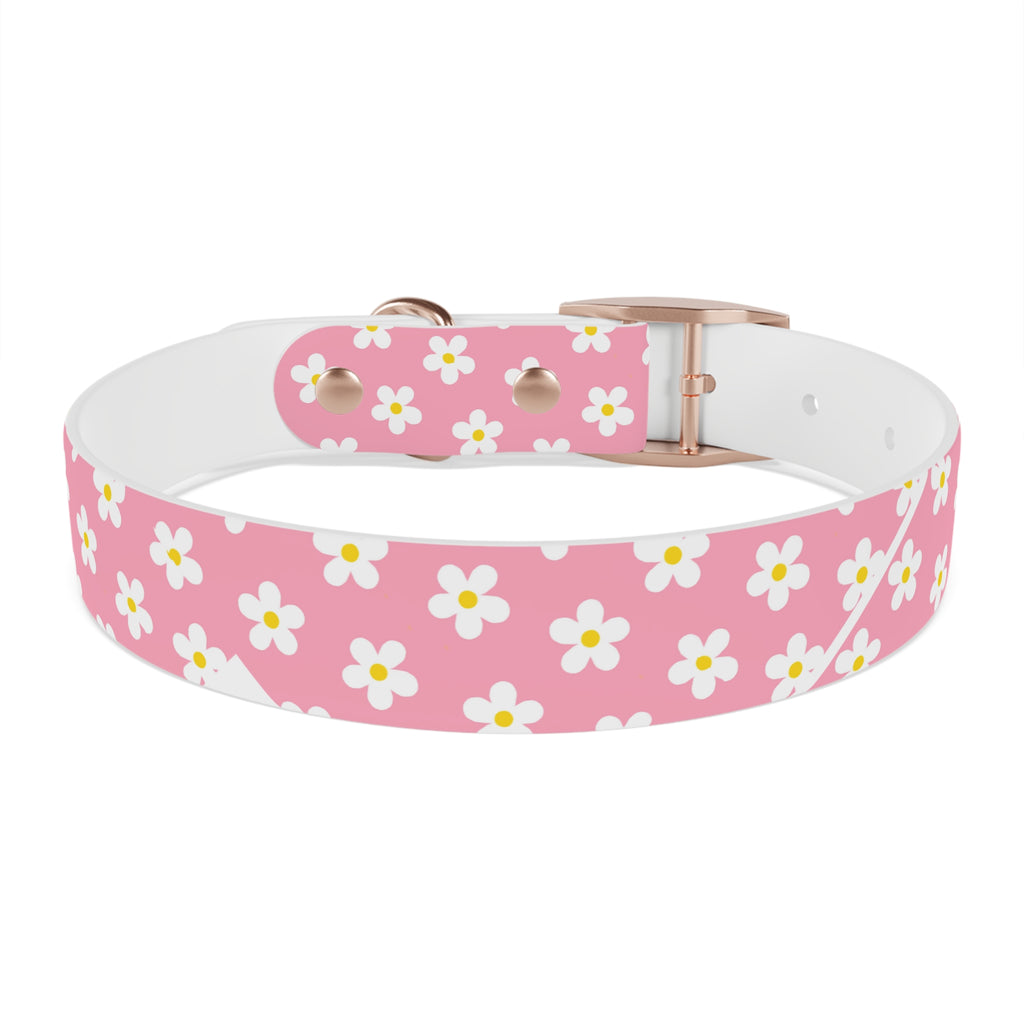 Dog Collar - Daisy Collection