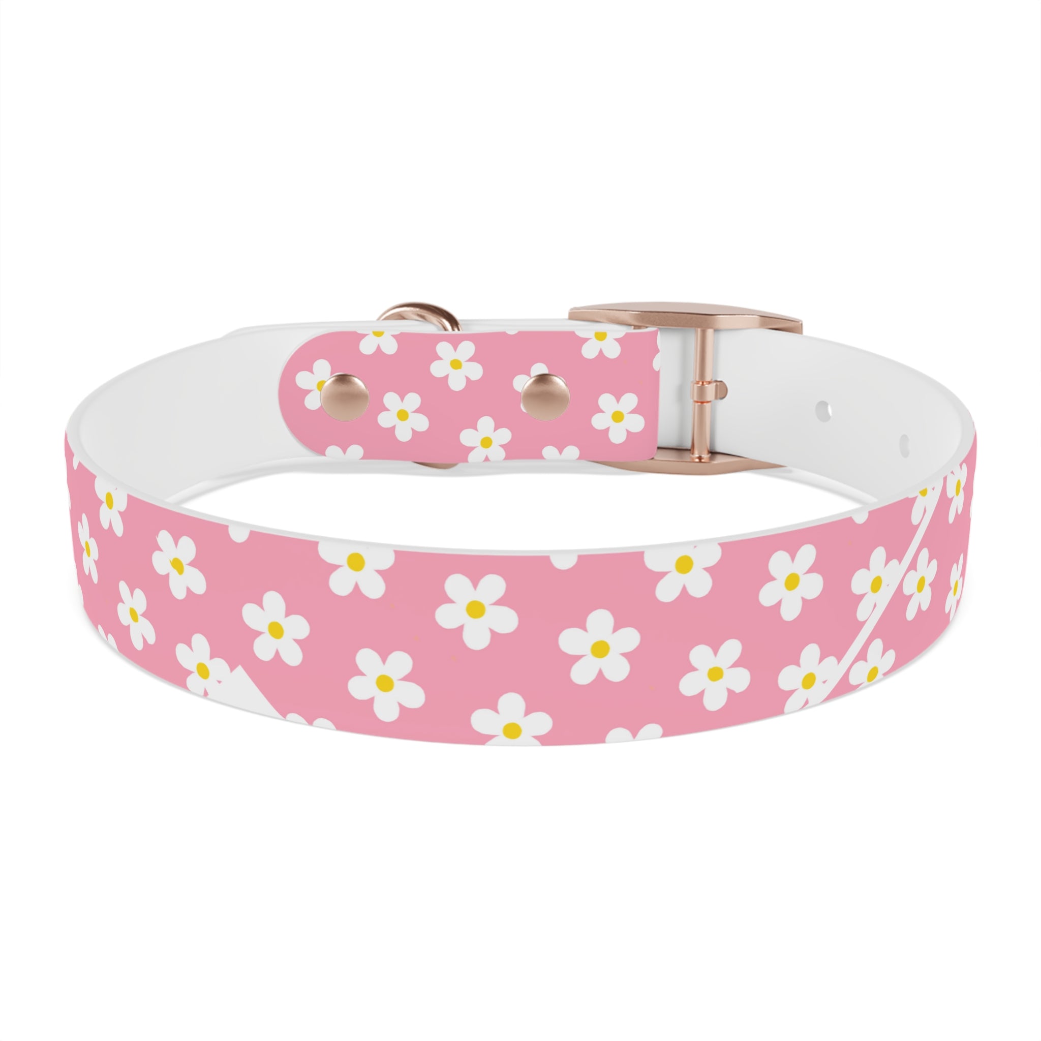 Dog Collar - Daisy Collection