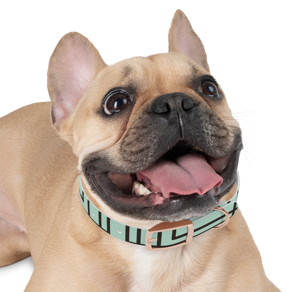 Dog Collar- Mint Madness