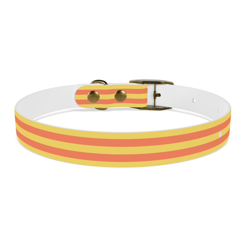 Dog Collar