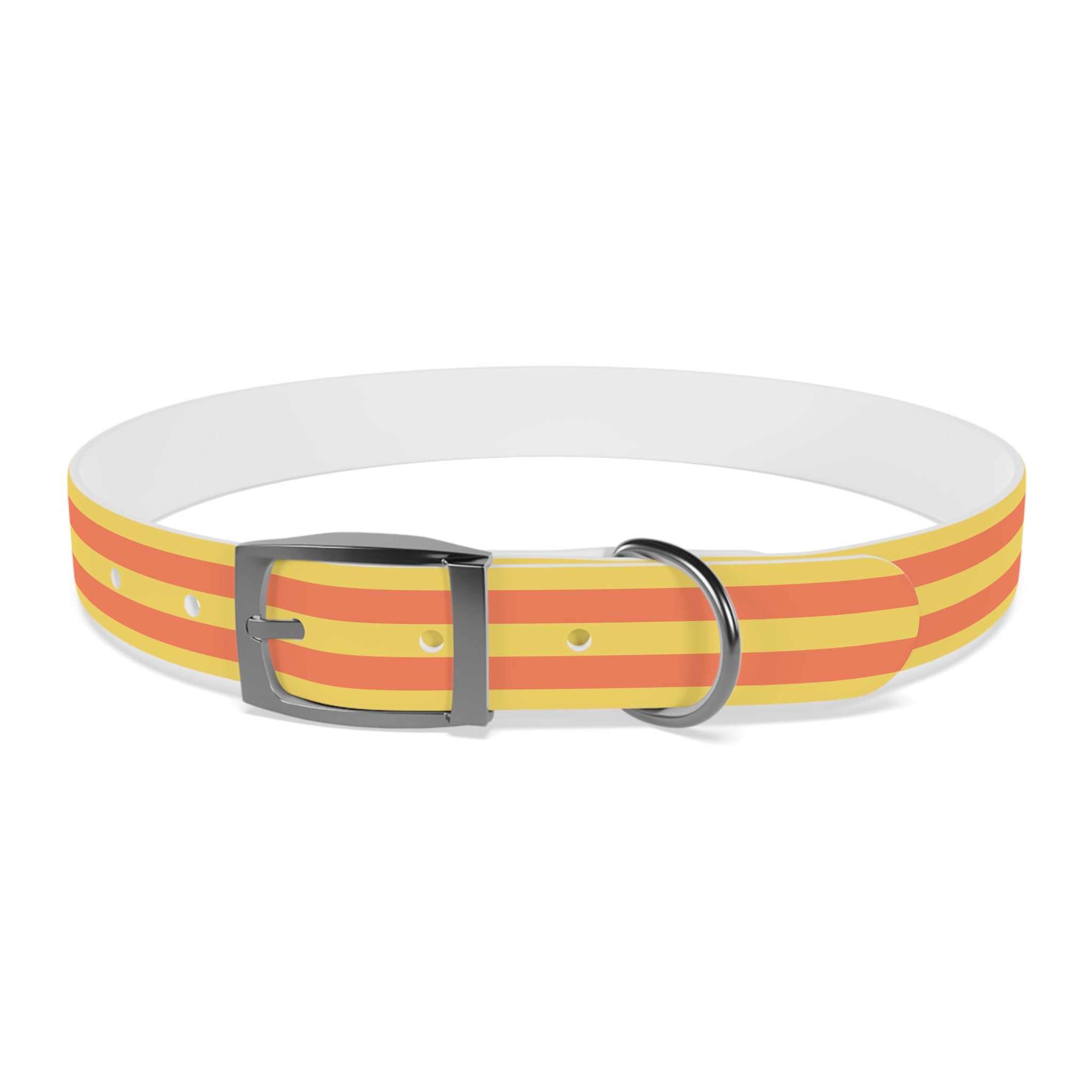 Dog Collar