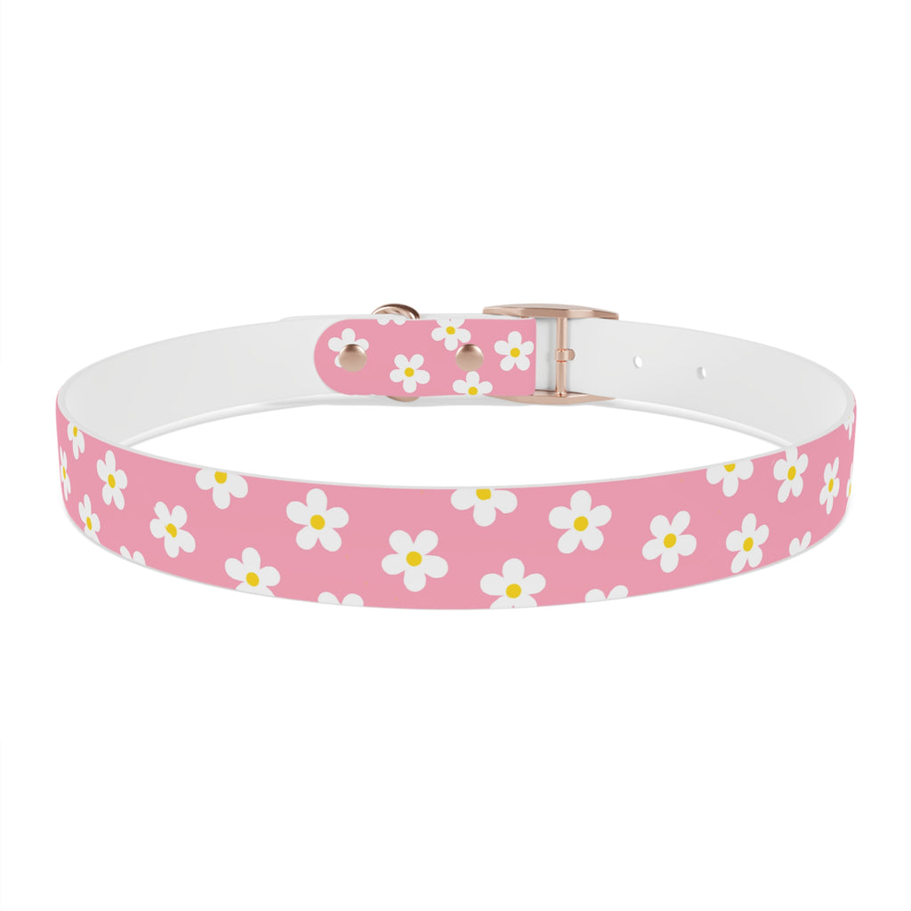 Dog Collar - Daisy Collection