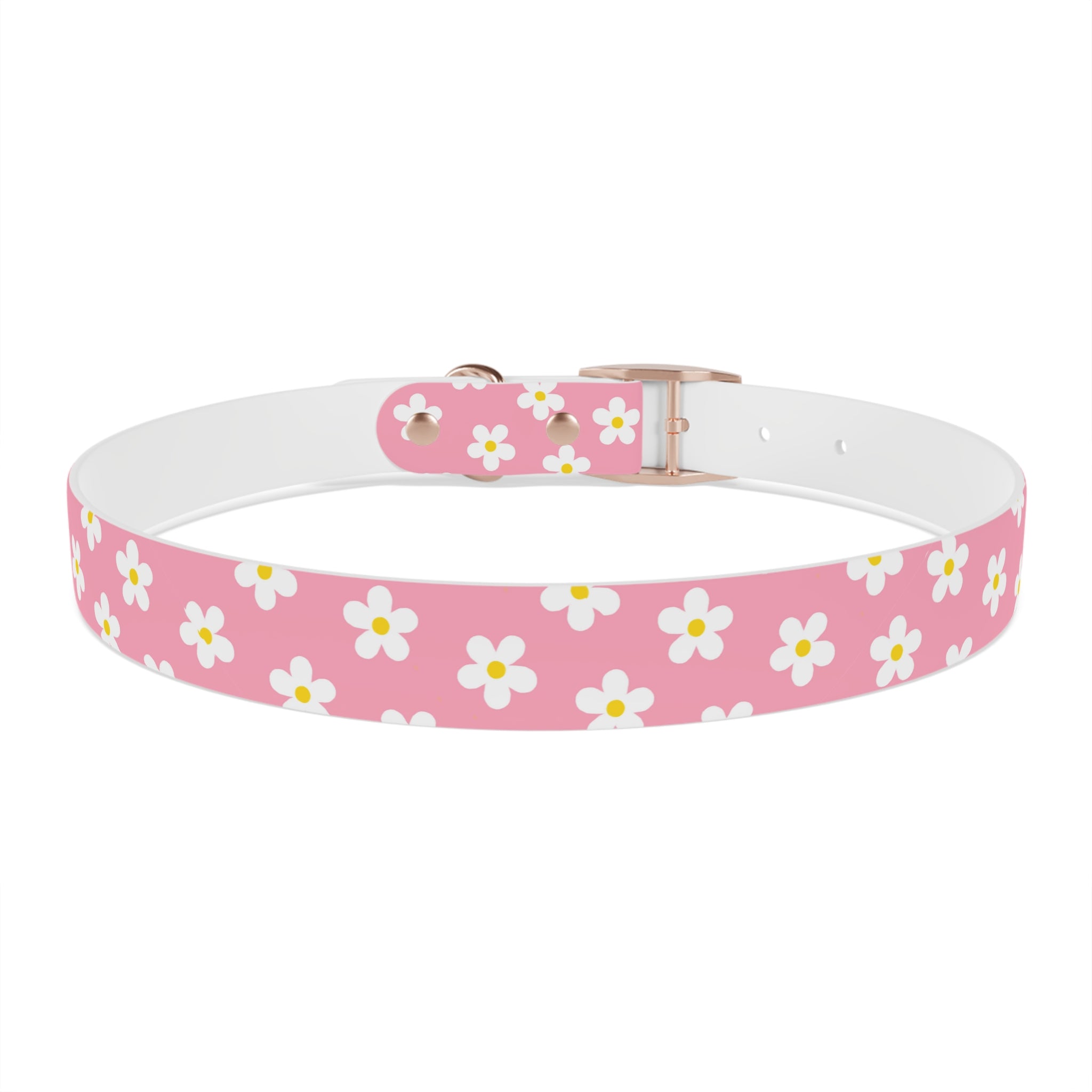 Dog Collar - Daisy Collection