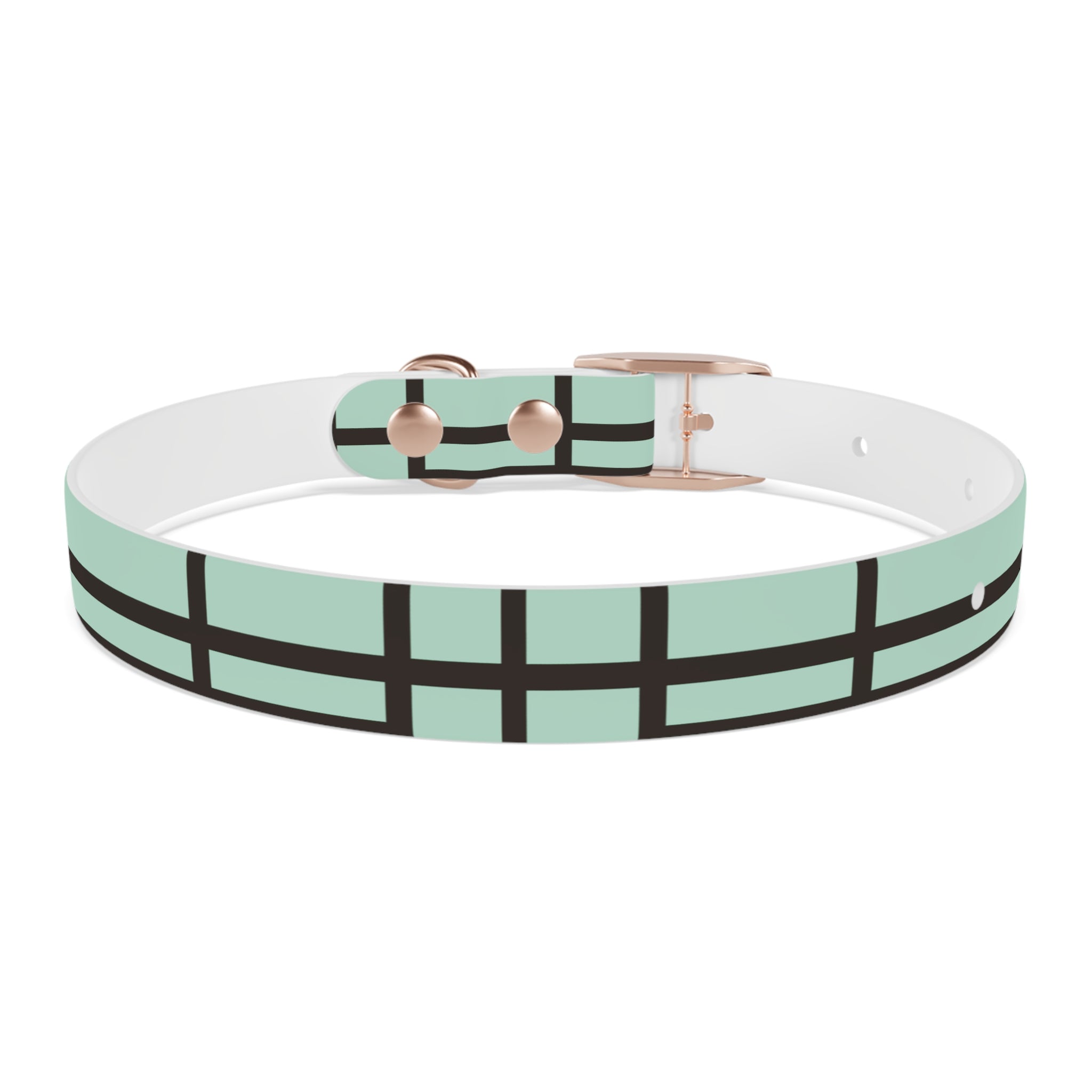 Dog Collar- Mint Madness