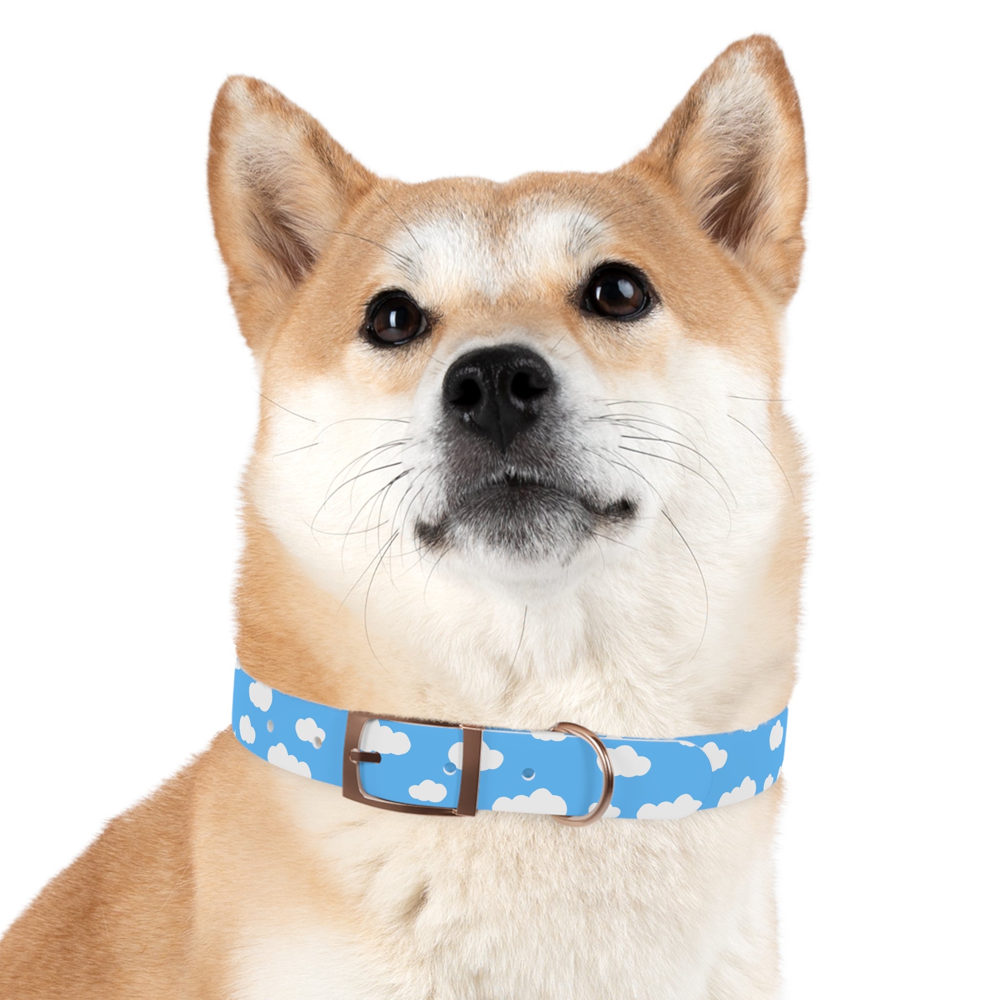 Cloud Dog Collar