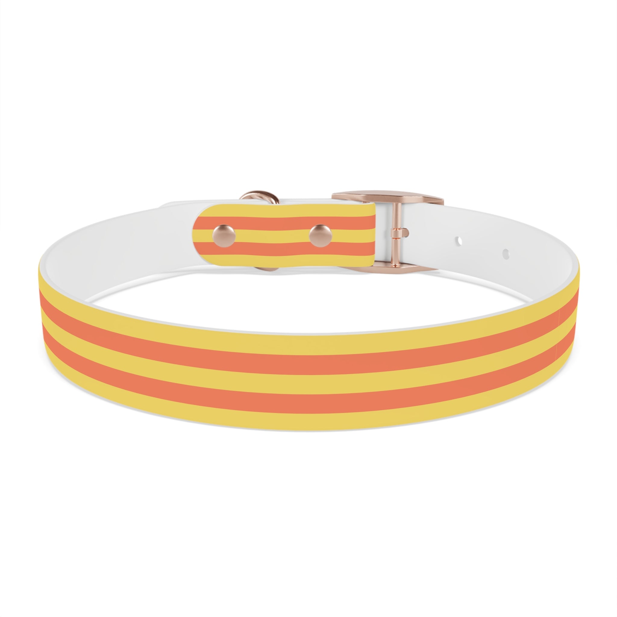 Dog Collar