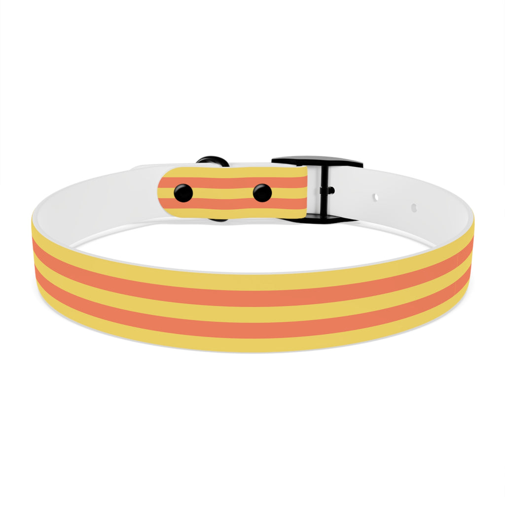 Dog Collar