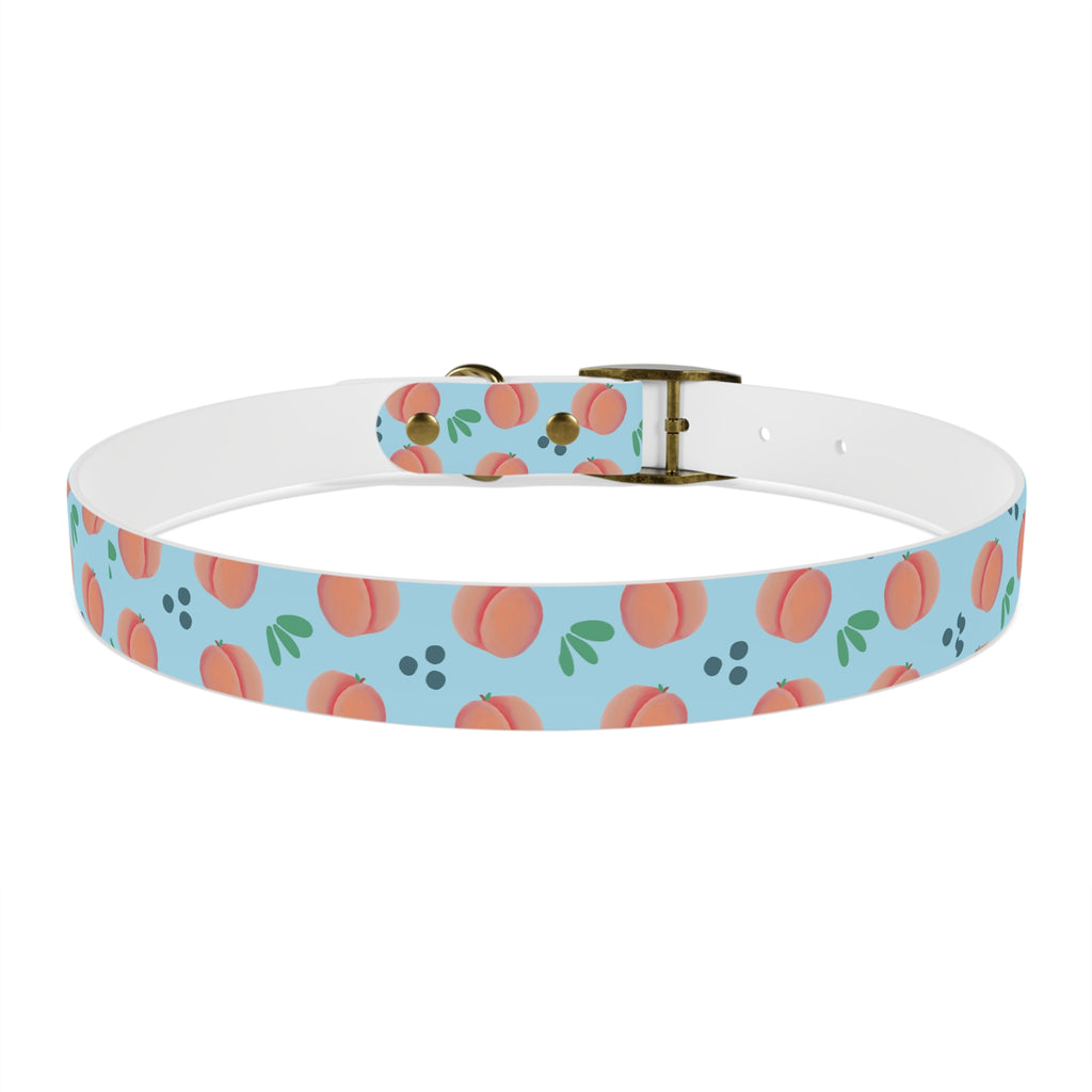 Dog Collar - Feelin Peachy