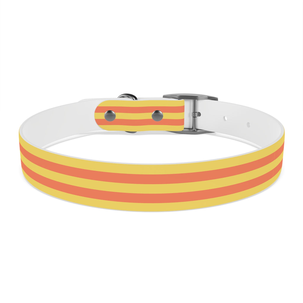 Dog Collar