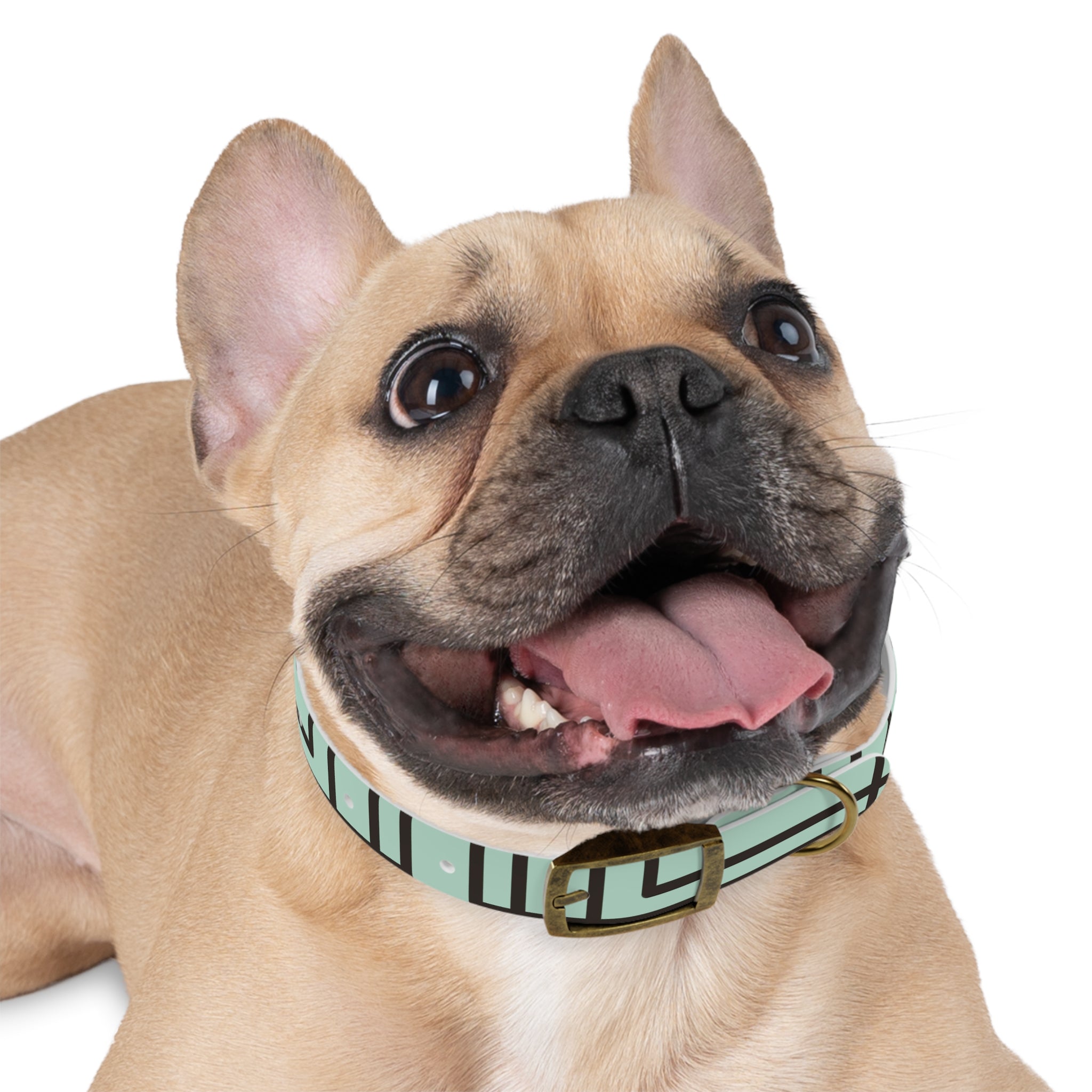Dog Collar- Mint Madness