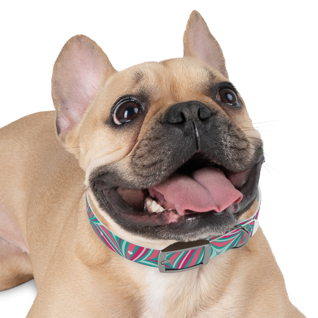 Dog Collar- Whimsy Collection