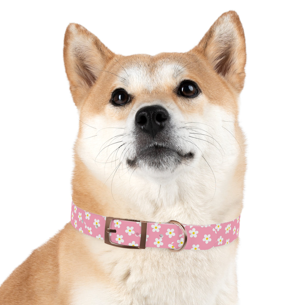 Dog Collar - Daisy Collection