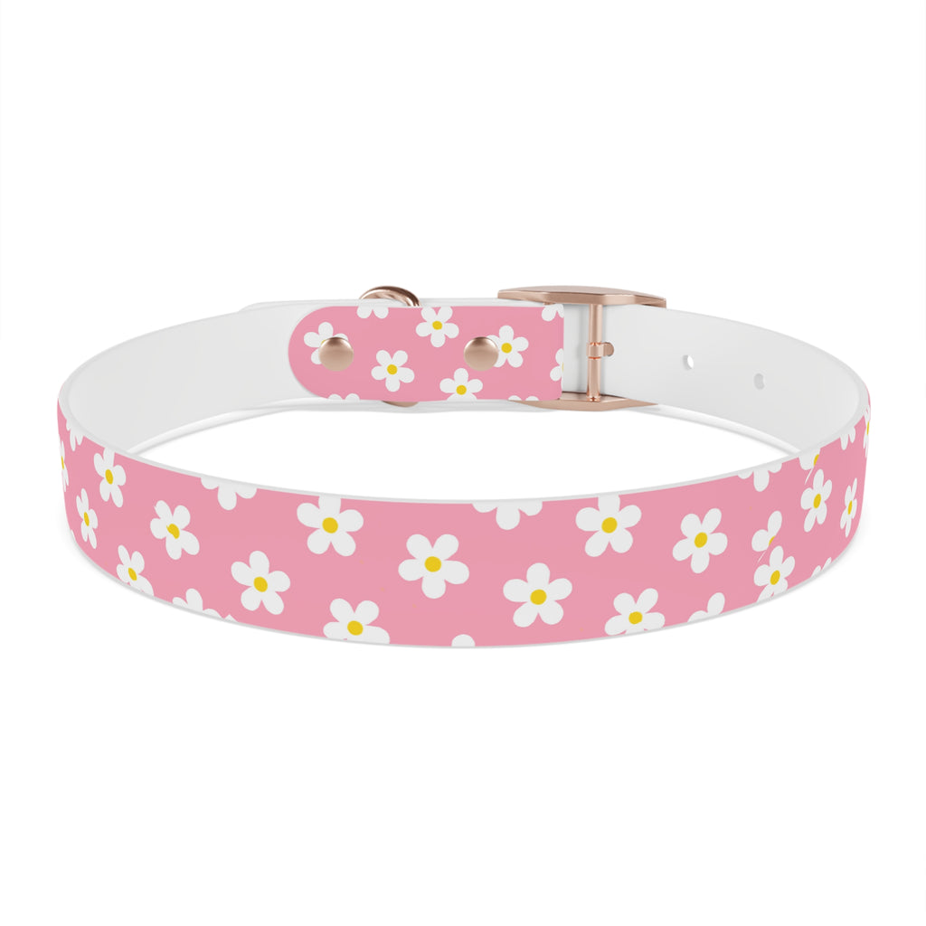 Dog Collar - Daisy Collection