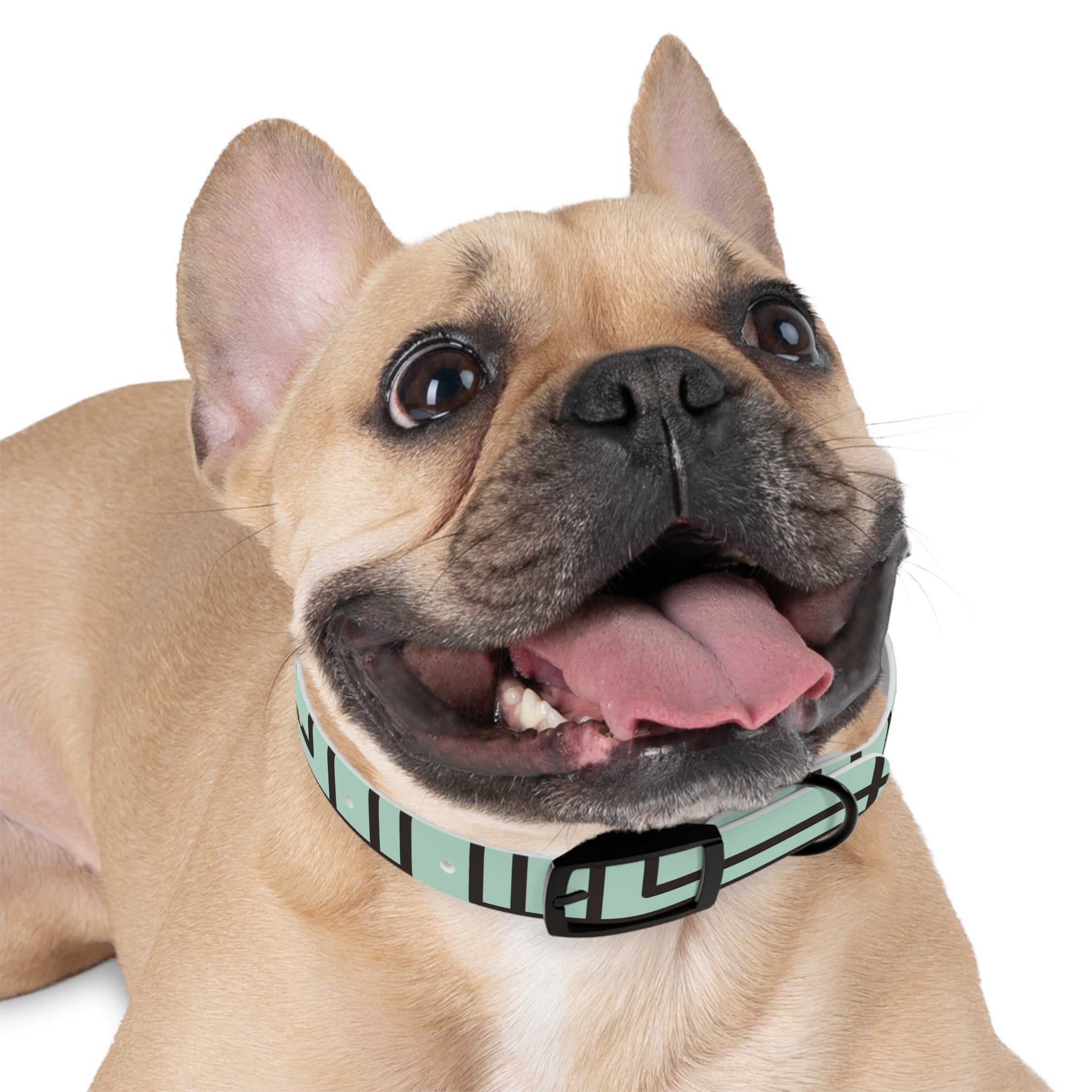 Dog Collar- Mint Madness