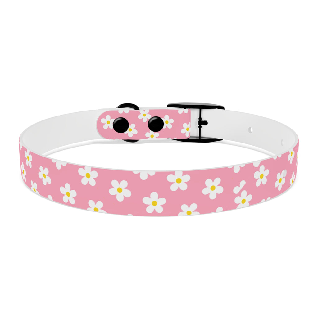 Dog Collar - Daisy Collection