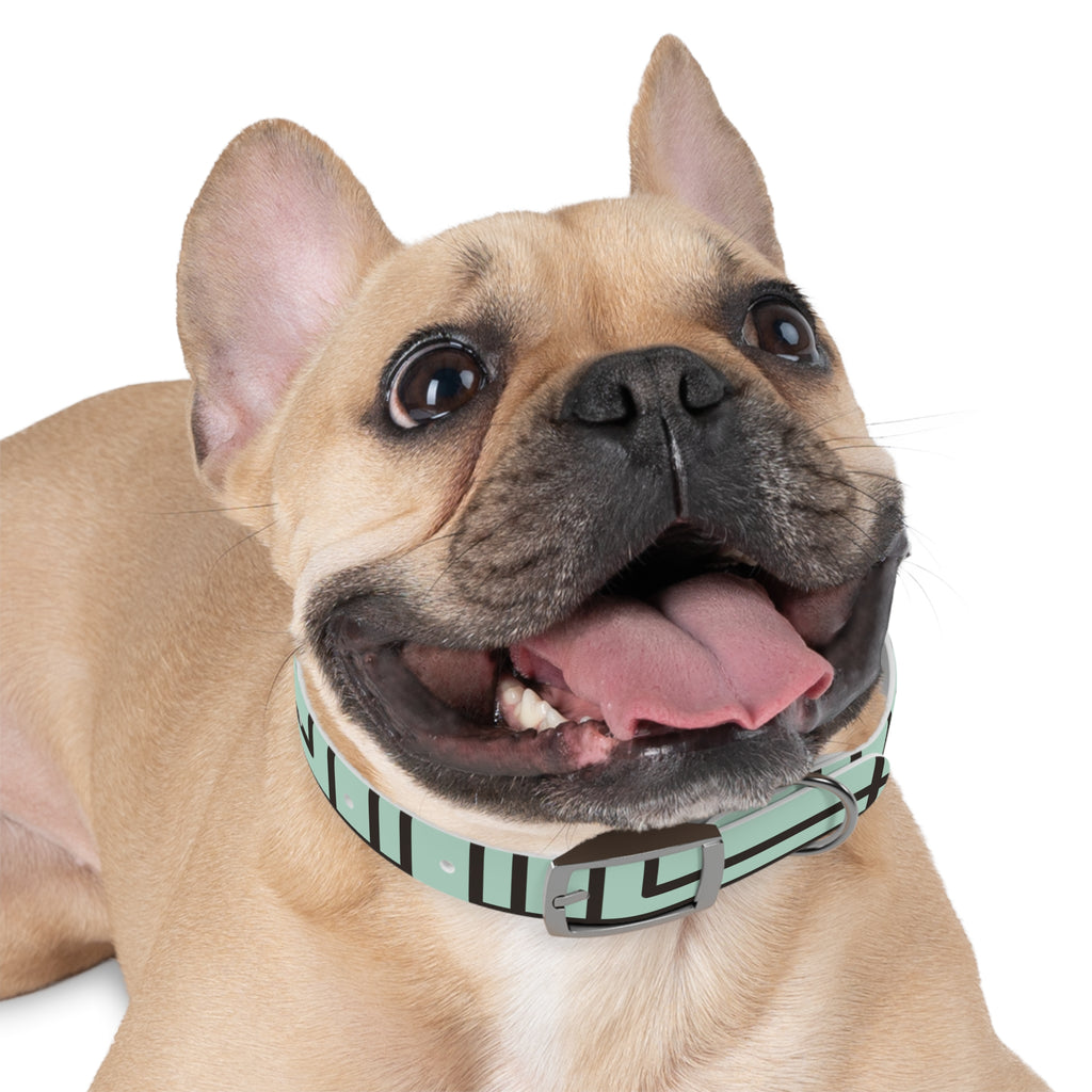 Dog Collar- Mint Madness