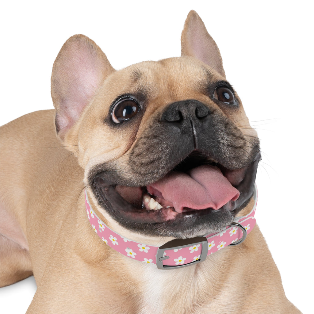 Dog Collar - Daisy Collection