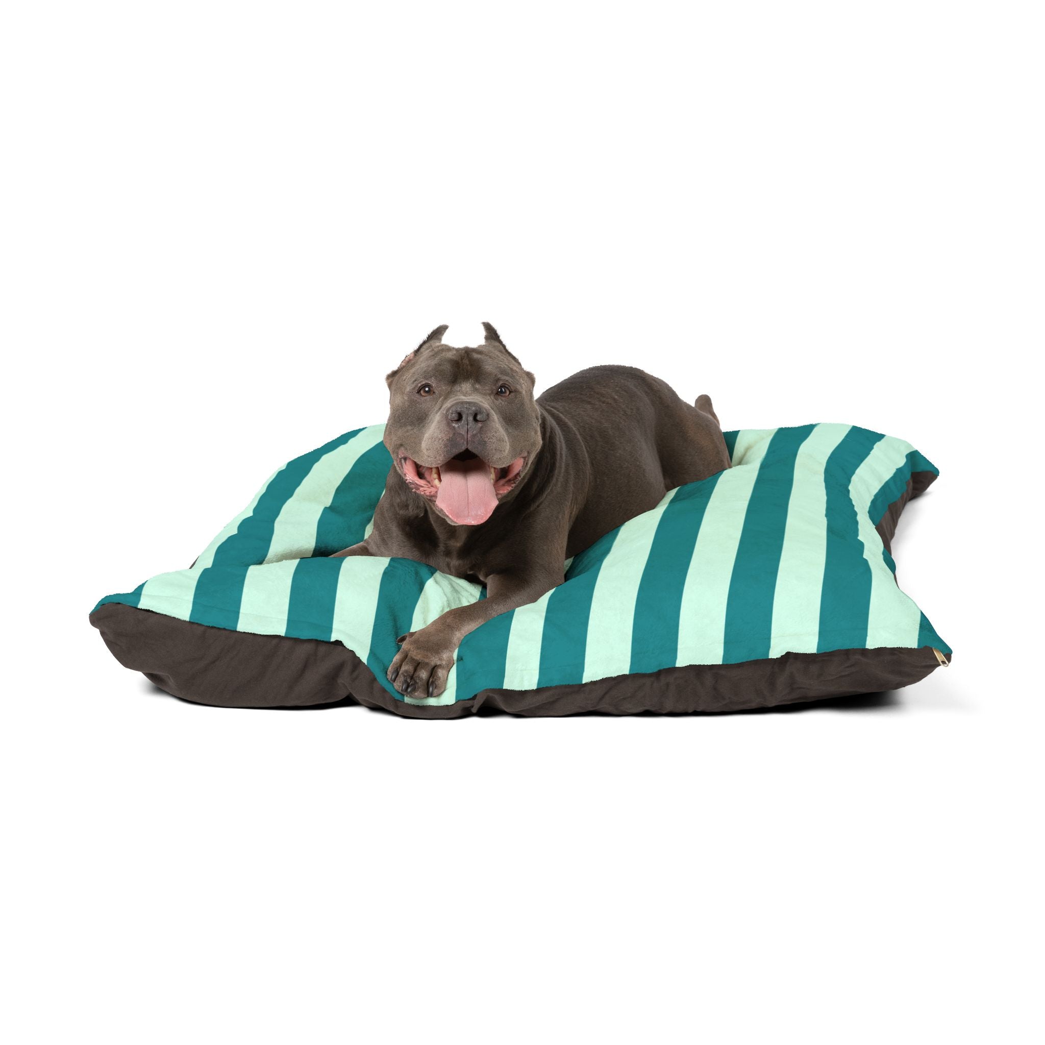 Pet Bed