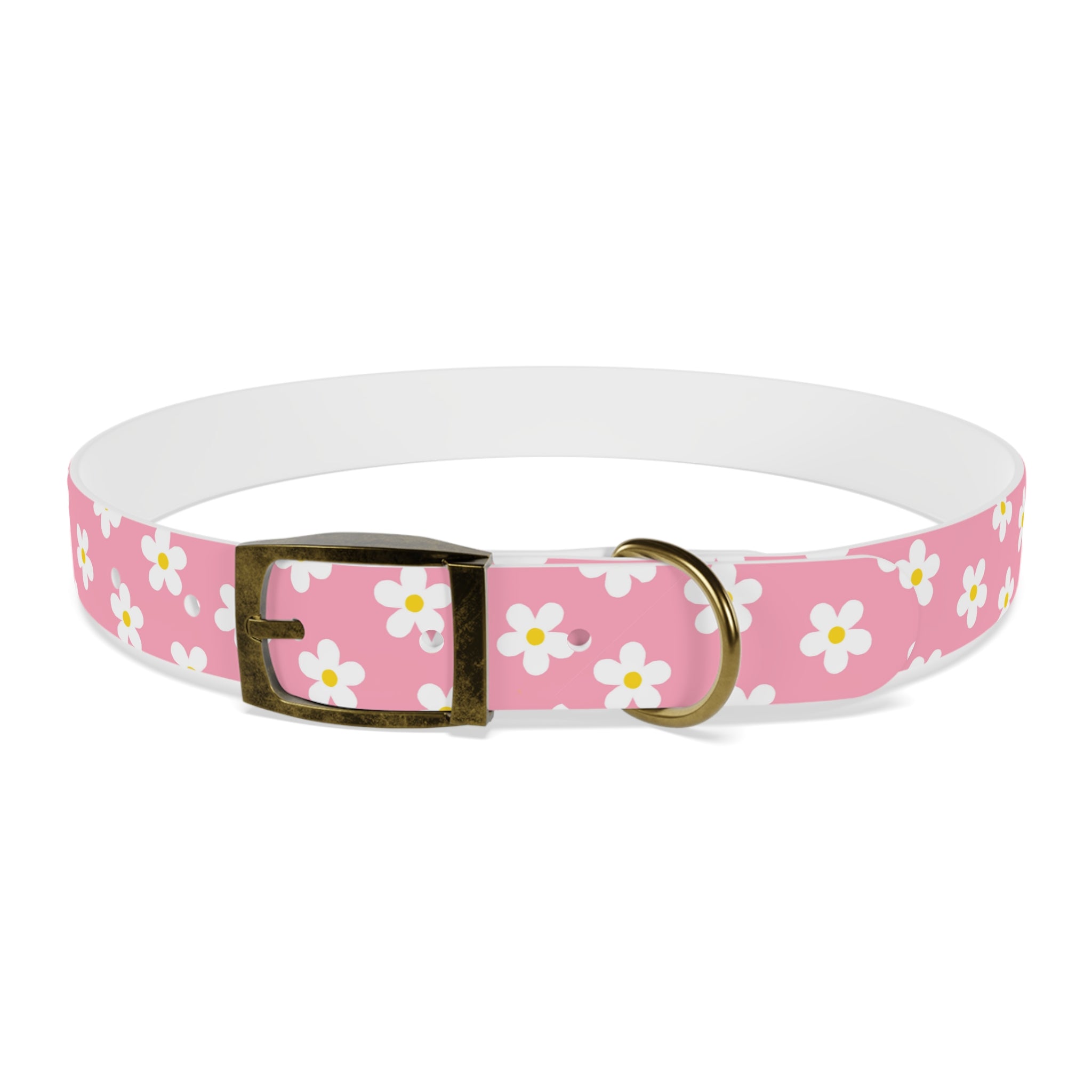 Dog Collar - Daisy Collection