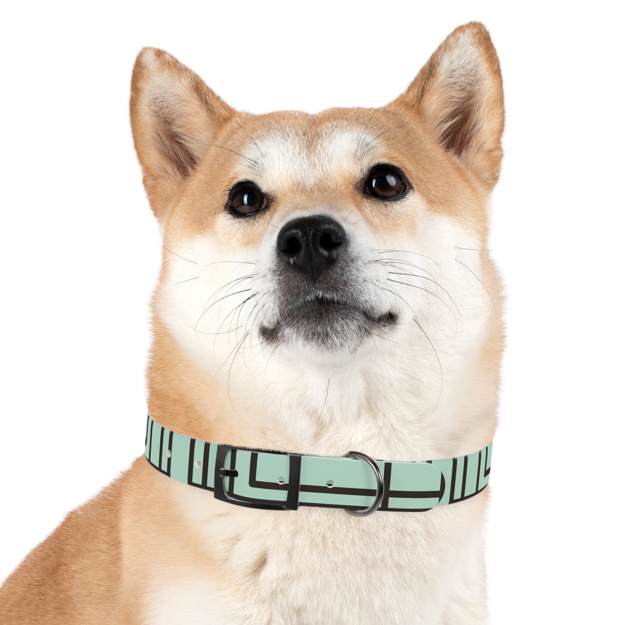 Dog Collar- Mint Madness