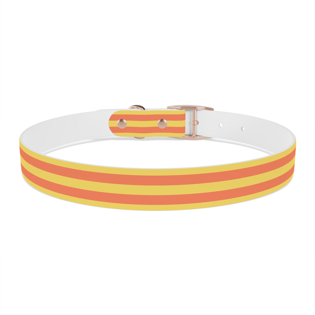 Dog Collar