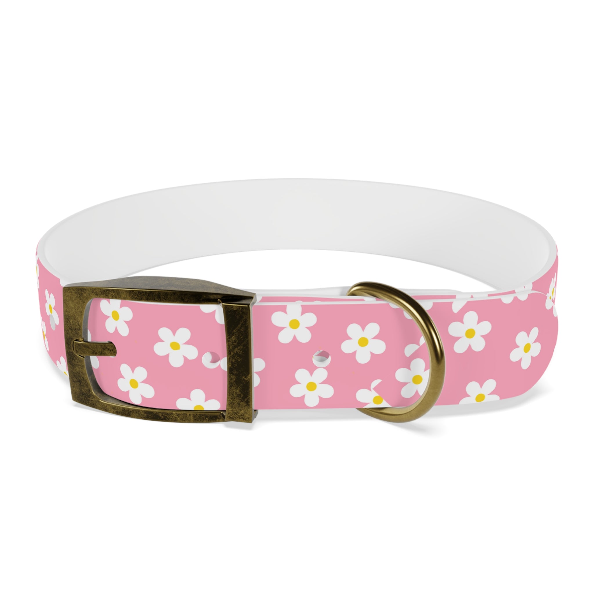 Dog Collar - Daisy Collection