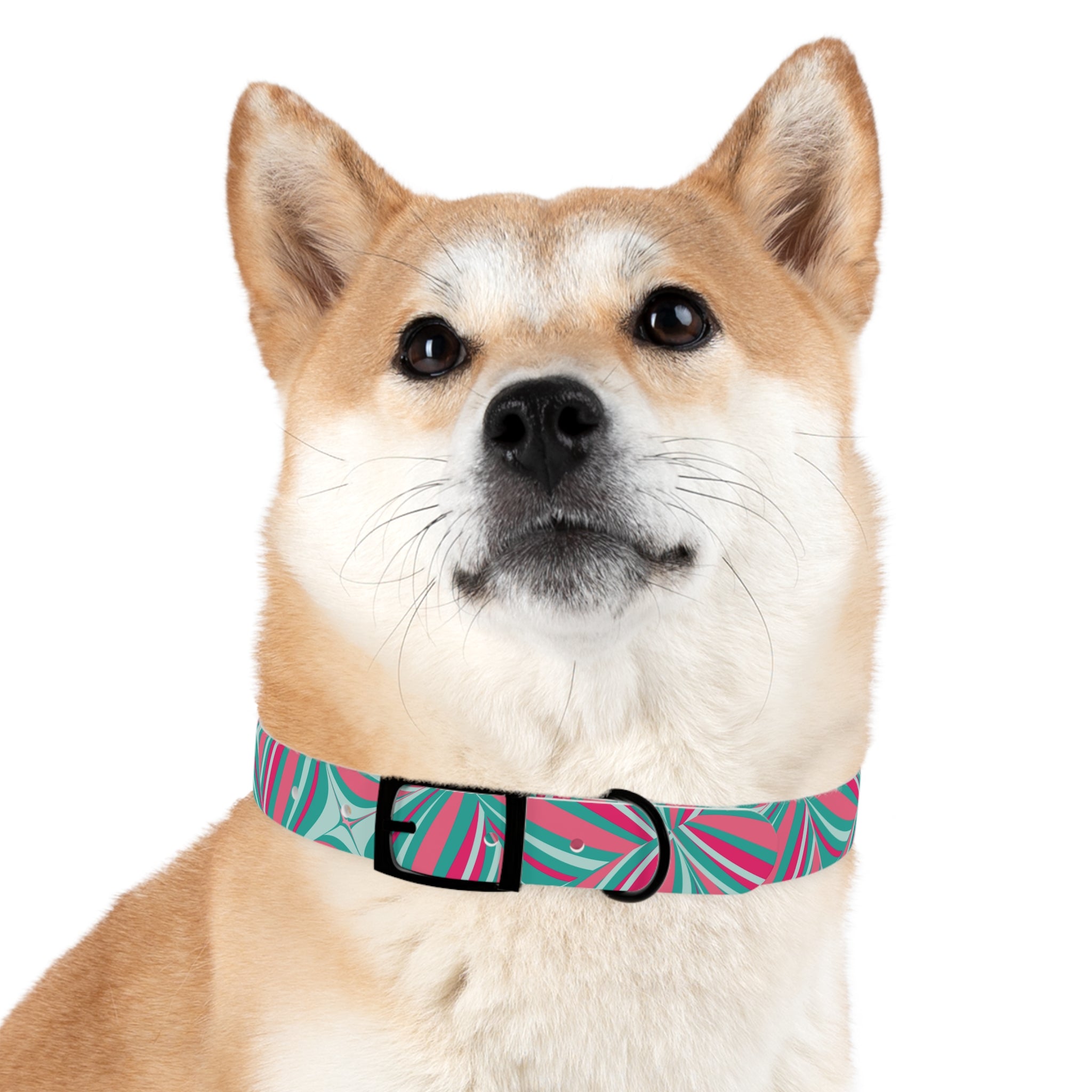 Dog Collar- Whimsy Collection