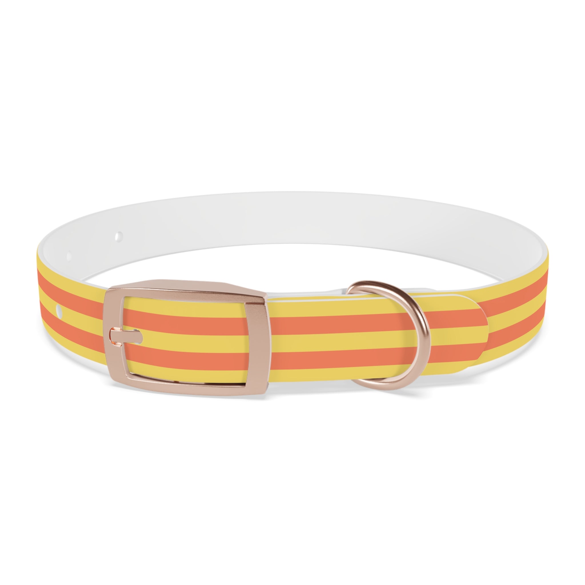Dog Collar