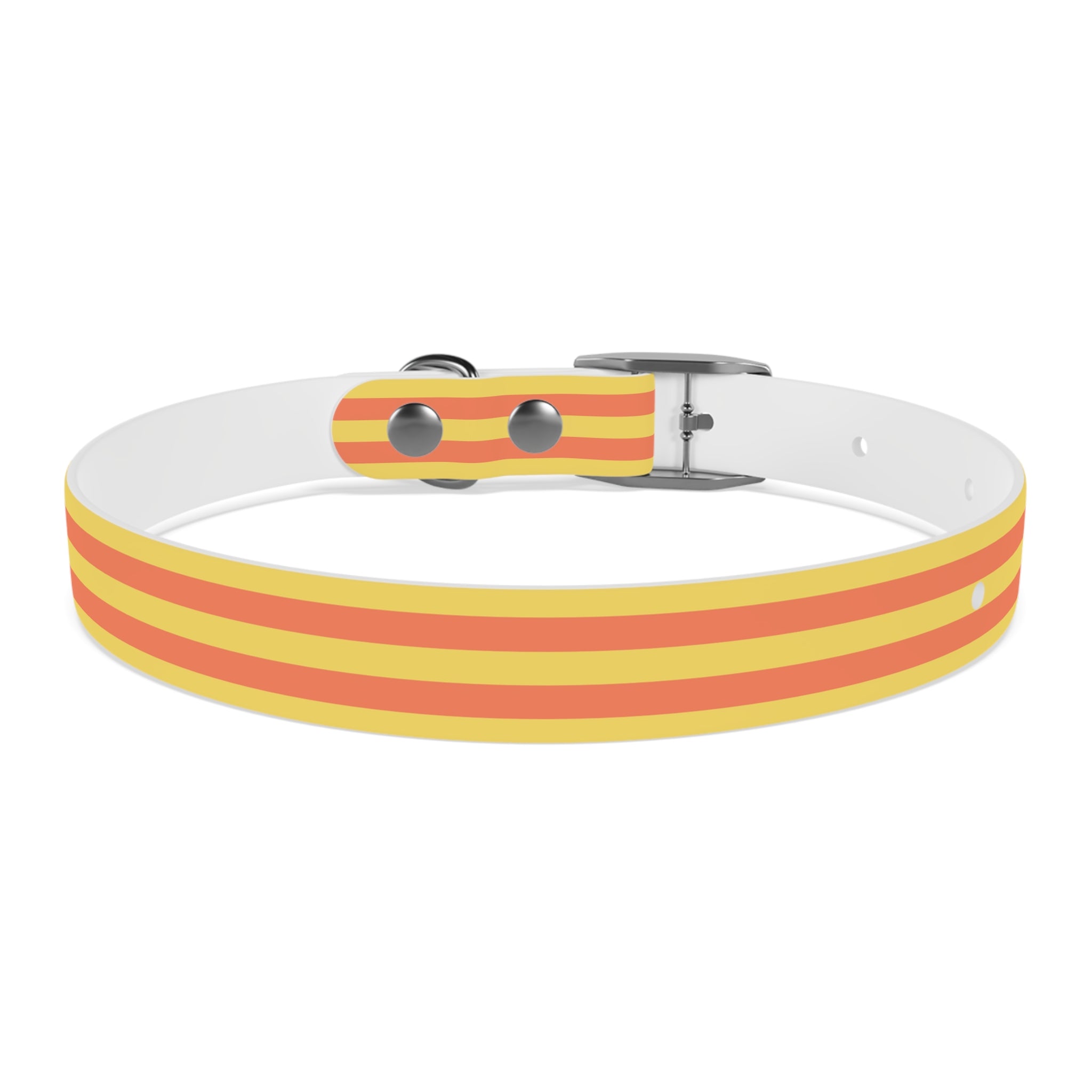 Dog Collar