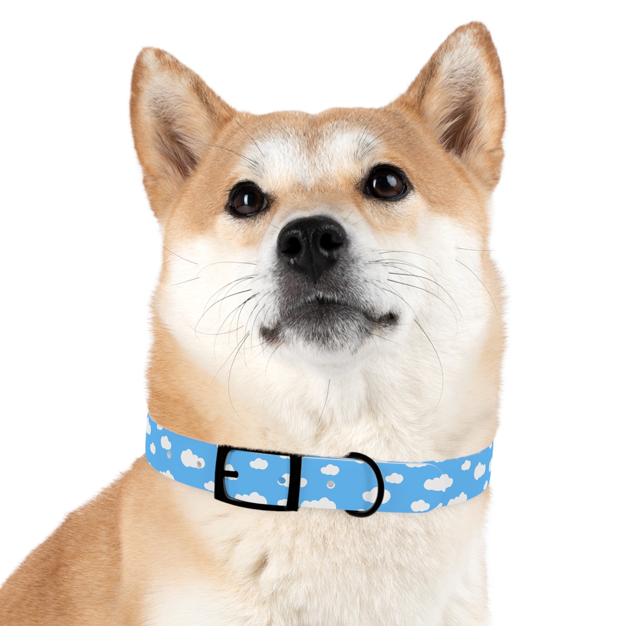 Cloud Dog Collar