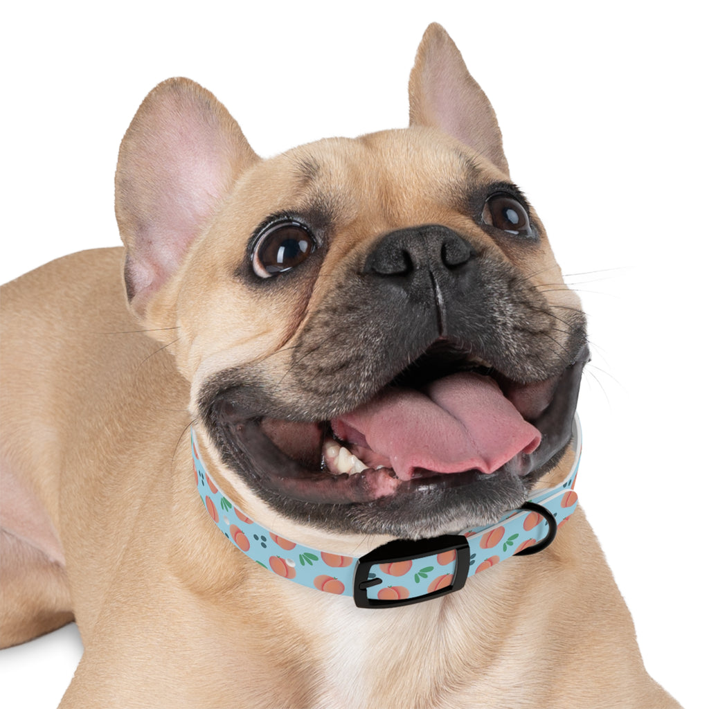 Dog Collar - Feelin Peachy
