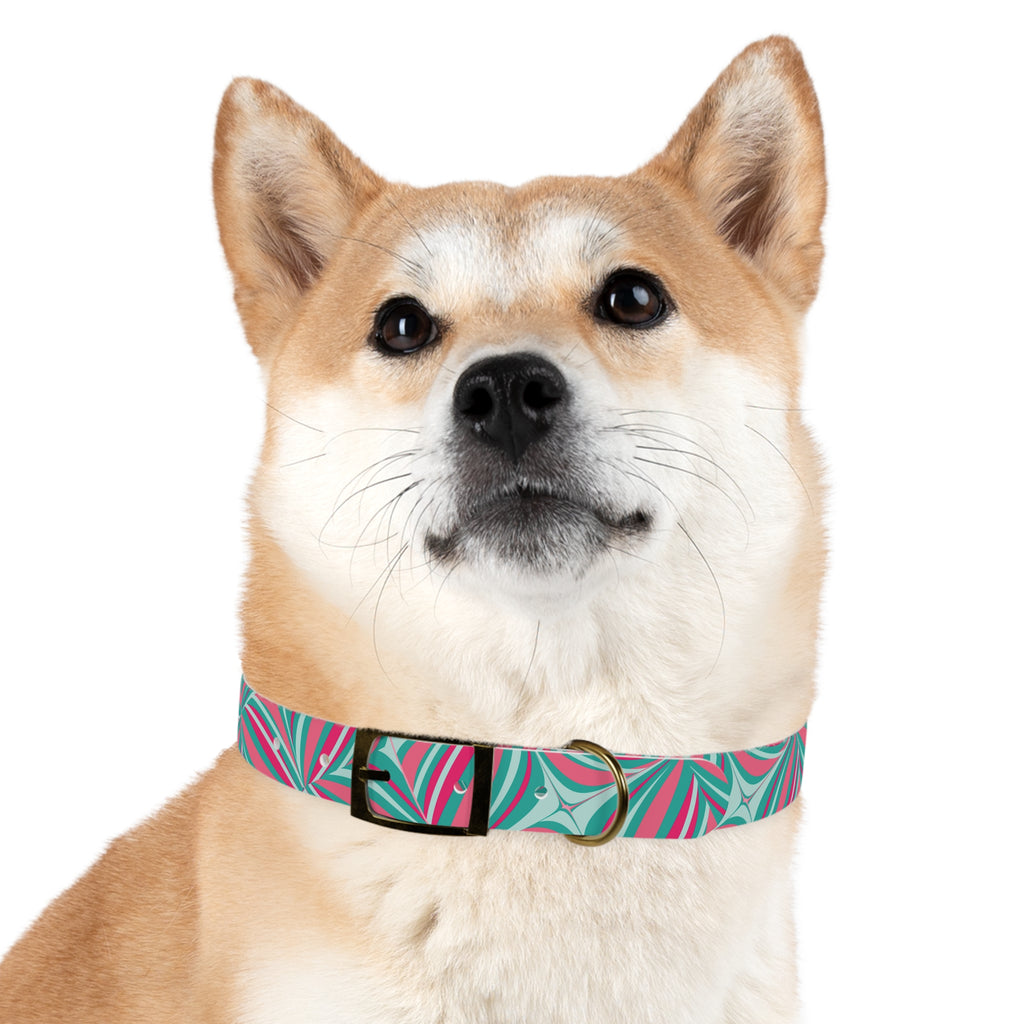 Dog Collar- Whimsy Collection