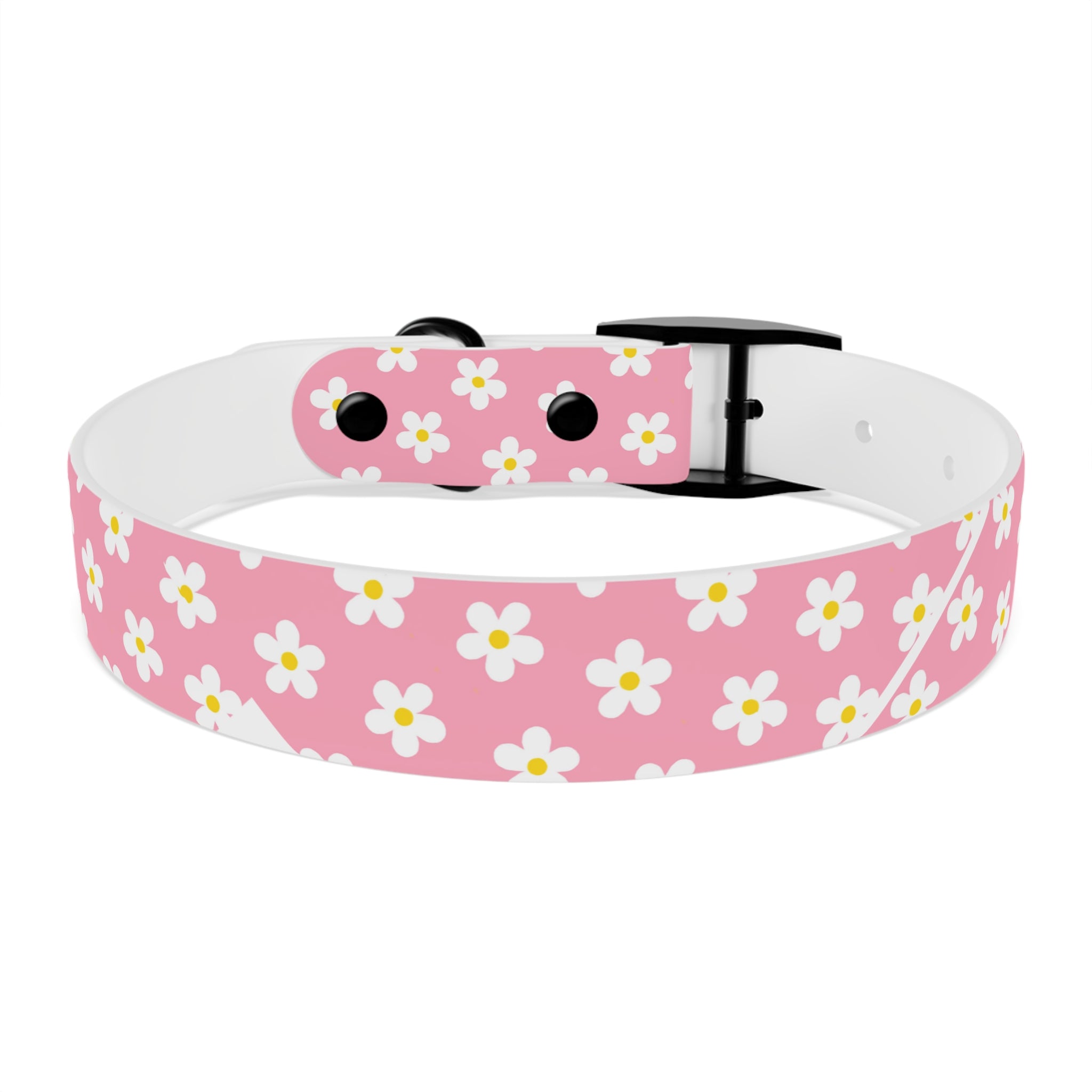 Dog Collar - Daisy Collection