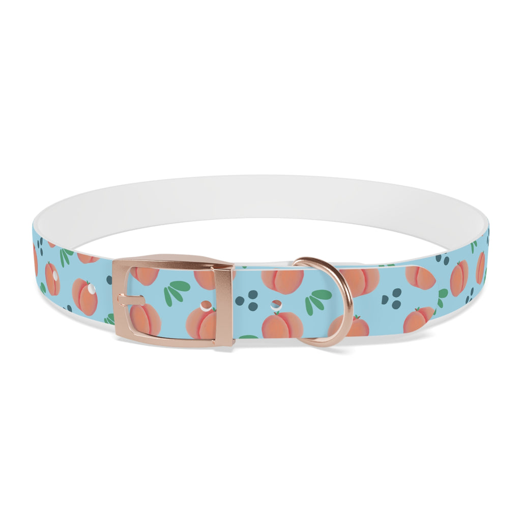 Dog Collar - Feelin Peachy