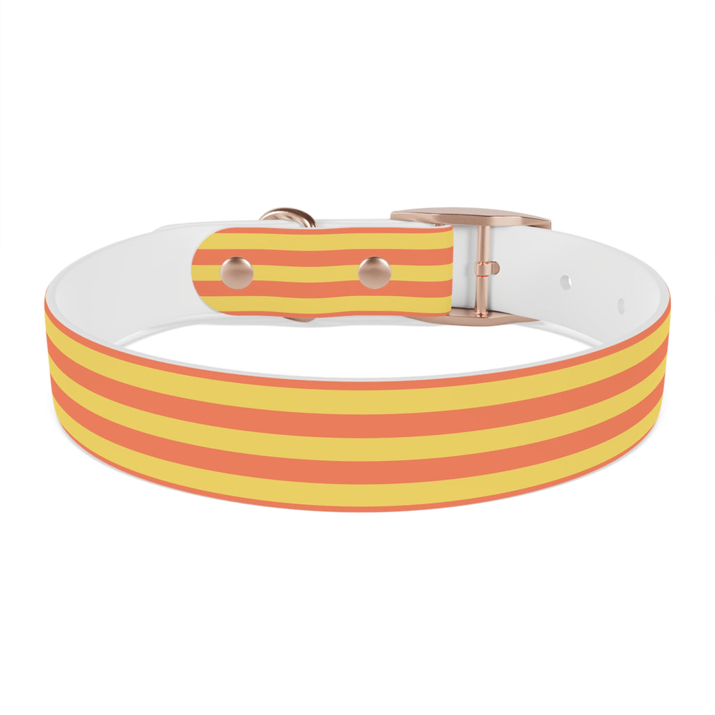 Dog Collar