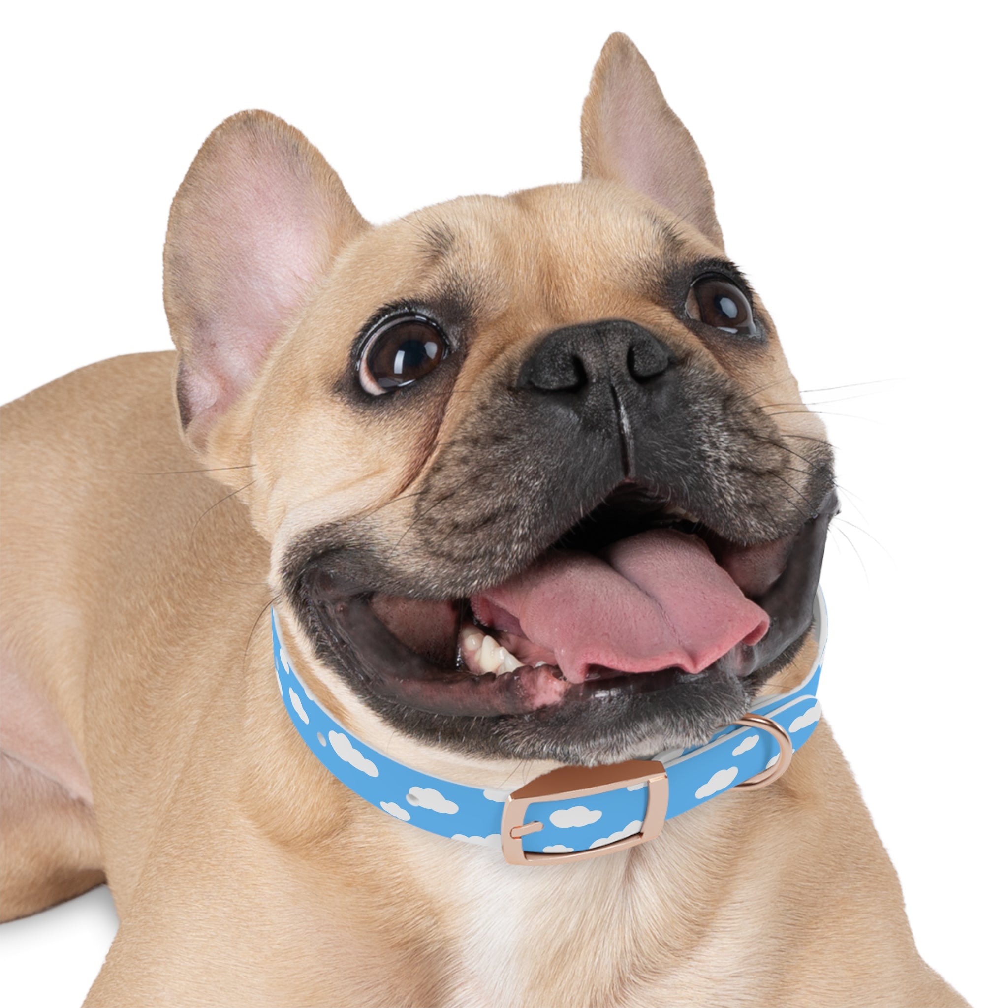 Cloud Dog Collar