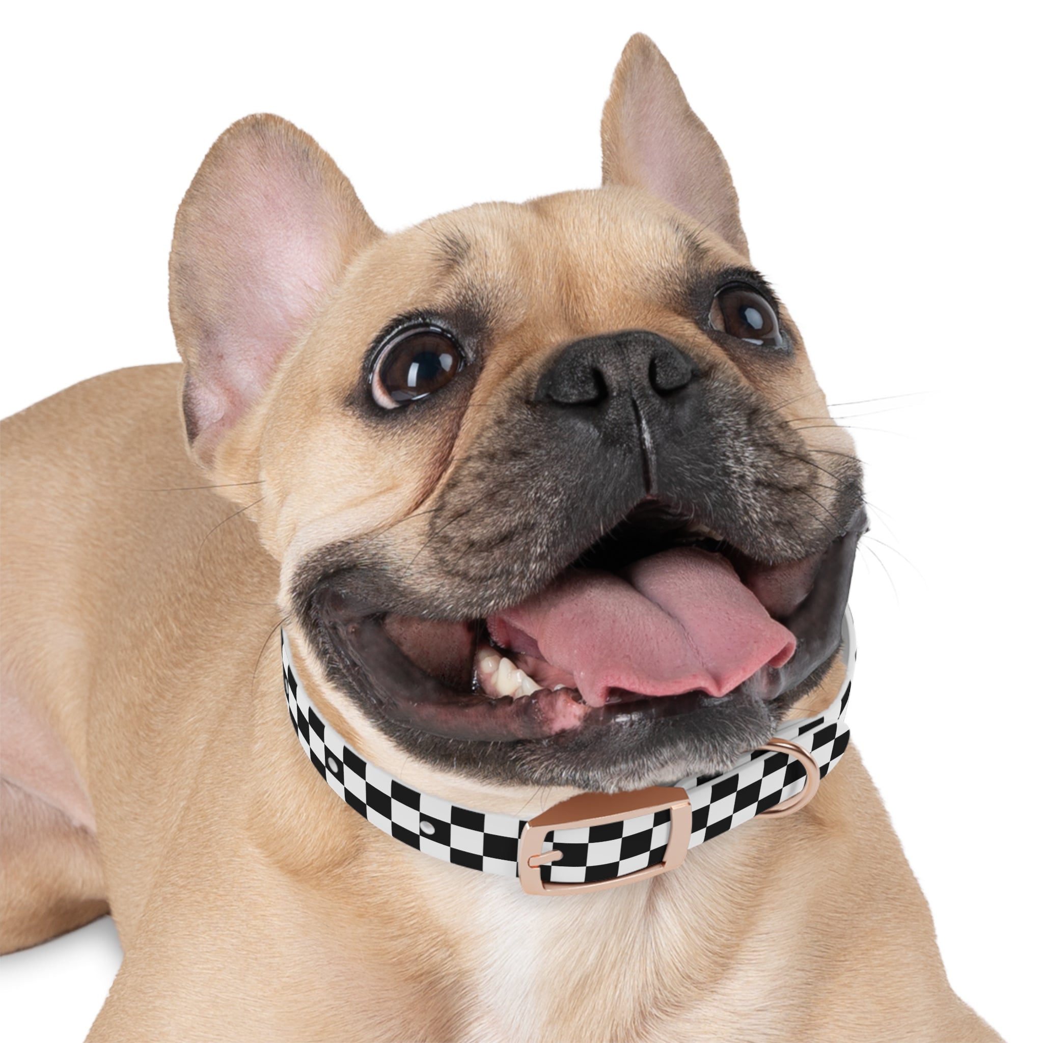 Checkered Dog Collar