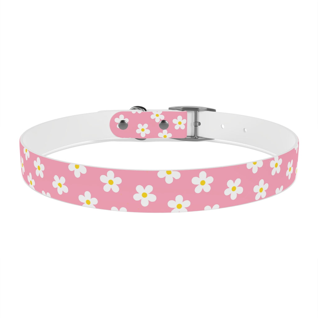 Dog Collar - Daisy Collection